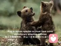 其實我們活力自然涌現的開始階段是這樣的…待續…配圖