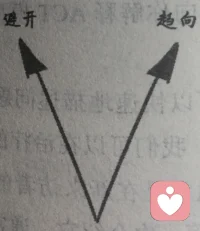 話說得越來越順，尤其認字寫字會閱讀寫作以后，那股自然涌現的活力就開始“節外生枝”了，并且這個生出的相反方向的“枝”上還有好多鉤子鉤住了活力……長大是人必經的潰爛？這個鍋讓長大來背？？…待續…配圖