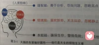 三重大腦系列圖5：另外5張算作是愿意接受后選擇面對的方法吧配圖