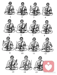 相對于下面的正念運動
?正念行走+正念伸展
?以及手部動作（不一定只是坐著才做）
練呼吸和觀呼吸要靜一下
但其實也是在動
只是……

?配圖