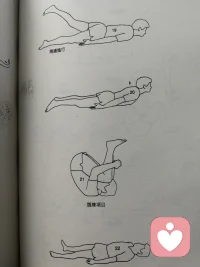 正念躺姿伸展練習的源書記載順序
暫不說別樣，至少跟著做起來
早上的起床氣自然消失
百度“正念練習指導音頻5：正念運動”配圖