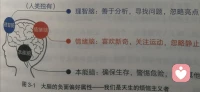 前面介紹了那么多基礎(chǔ)練習
?它們是來單獨輔助腦子的某一部分？
還是讓1+1+1＞3
?至少不會讓它們?nèi)齻€打內(nèi)仗吧
?圖五比圖二多了韁繩
?雖不起眼
?沒它可真沒了靈魂
?它和練習又是什么關(guān)系呢？配圖