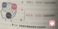 前面介紹了那么多基礎(chǔ)練習
?它們是來單獨輔助腦子的某一部分？
還是讓1+1+1＞3
?至少不會讓它們?nèi)齻€打內(nèi)仗吧
?圖五比圖二多了韁繩
?雖不起眼
?沒它可真沒了靈魂
?它和練習又是什么關(guān)系呢？配圖