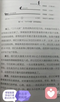 前面介紹了那么多基礎(chǔ)練習
?它們是來單獨輔助腦子的某一部分？
還是讓1+1+1＞3
?至少不會讓它們?nèi)齻€打內(nèi)仗吧
?圖五比圖二多了韁繩
?雖不起眼
?沒它可真沒了靈魂
?它和練習又是什么關(guān)系呢？配圖