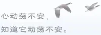 從“家”這個字的結構和構成看
我們普遍對“出家”理解太狹隘
出家更是一種心理層面的離開舒適
更是一種積極入世擁抱現實的態度
不是消極避世逃避現實的遮掩
?……釋迦摩尼沒有創立佛教，耶穌沒有創立基督教，穆哈穆德沒有創立伊斯蘭教，老子沒有創立道教，孔子沒有創立儒教……
對外對內重新感知重新體驗>身體可能痛（具體的痛）＜頭腦卻要加工苦（抽象的苦）
是自主切換還是打包全收？
自己看著辦[微笑]誰在造神？為啥要造？
?配圖