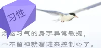 原來原因的結果本就在了，不再給原來的結果保留原來的原因→所謂“因上努力，果上隨緣。”
接受自作自受的結果是接納的第一步→所謂“隨緣消舊業，不再造新殃。隨緣不變，不變隨緣。”
?這才懂得起所謂“菩薩畏因眾生畏果”要傳達的操作要領，可以說沒有一點宗教色彩，就是我們每個人日常生活中實際言行的具體技術。
?你可以成自己的“菩薩”
觀音菩薩的觀音實際就是觀+音
眼睛看到的+耳朵聽到的……
你能拉開一段距離來
把自己的想法情緒言行傾向包括身體感覺｛習性｝當成客觀的觀察對象
先有一個視角借助沉穩的自心去觀察自心的自動化反應｛習性｝
再做出主動的回應
你自己就是你自己的“菩薩”配圖