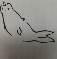 身體不是一個物品，而是一個事件……
?人體不是一個名詞，而是一個動詞……配圖