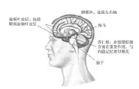 早年的經歷并不是命運配圖
