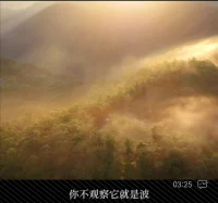 昨天的子彈打不中今天的我們，正在傷害我們的，不是過去或?qū)淼娜耸挛铮钱斚聦δ切┤耸挛锏模磻?yīng)｝
——有能力傷害我們只有當下那些｛反應(yīng)｝
——我們只是需要培養(yǎng)的也就是當下對那些人事物的【回應(yīng)】配圖