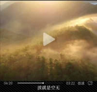 昨天的子彈打不中今天的我們，正在傷害我們的，不是過去或?qū)淼娜耸挛铮钱斚聦δ切┤耸挛锏模磻?yīng)｝
——有能力傷害我們只有當下那些｛反應(yīng)｝
——我們只是需要培養(yǎng)的也就是當下對那些人事物的【回應(yīng)】配圖