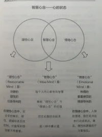 【接前面】
……
自相矛盾
方得始终
本自具足
始本具足
终尽具足
       人生没有如果，命运没有假设。不要尽力努力内卷，而是用力时不强求。想要不可代替，就要与众不同。
       心力，其实是体力+脑力+愿力的综合物。
        行动模式并不是一个需要击败的敌人，很多时候它是一个盟友，它只有在无法执行一项任务却主动请缨时（例如：“解决”一个棘手的情感任务）它才会成为一个“问题”。
这时换挡是有益的。
先行操练起来吧，
让我们需要的时候有能力换挡。
​