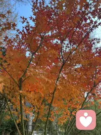 弗洛伊德曾说过：“没有所谓玩笑，所有的玩笑都有认真的成分。”配图