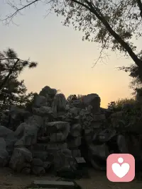 不要违背自己的本心，因为一个不爱自己的人没有能力去爱任何人。配图