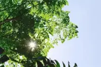 从前再好，已经成为过去，
现在再难，也要抬脚继续，
时间是最公平的，
它不会等待你，也不会亏待你，
生而为人，既然无法逃避，
就要坚定自己的信念，
不退缩，不后悔，不颓废，
朝着目标，坚持不懈的走下去。