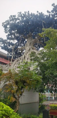 心理成長是一個不斷走向內在自己的過程。通過這種向內學習的體驗，可以實現內在生命的自由、外在生活品質的順暢！配圖