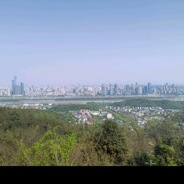 无语心理专家,无语心理咨询费用,无语心理咨询效果怎么样