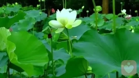 如何检验自己是否需要心理咨询？