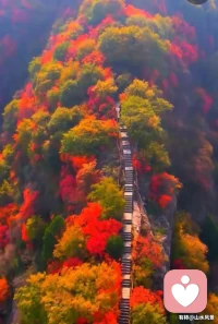 關(guān)于心理咨詢減壓，人們?cè)谡J(rèn)識(shí)上往往有一個(gè)誤區(qū)：容易解決的問(wèn)題適合做心理咨詢，無(wú)法解決的問(wèn)題不適合做心理咨詢。

真的如此嗎？

非也！容易解決的問(wèn)題，直接解決即可，根本無(wú)需做心理咨詢。唯有無(wú)法解決的問(wèn)題，才需要做心理咨詢！

既然問(wèn)題無(wú)法解決，那心理咨詢的意義何在呢？

心理咨詢的意義在于獲得心理的成長(zhǎng)、療愈，不再過(guò)度關(guān)注那些無(wú)法解決的問(wèn)題，而是找到更值得關(guān)注的更有價(jià)值更有意義更有現(xiàn)實(shí)性更有可操作性的事情，從而活出真正的、精彩的自己。

每個(gè)人的內(nèi)心，都非常有力量，有的象烈馬，有的象野馬，有的象慢牛，有的象犟驢…。心理成長(zhǎng)的結(jié)果，不是改變自己的內(nèi)心，而是學(xué)會(huì)駕駛自己的內(nèi)心，從而做自己的主人。配圖