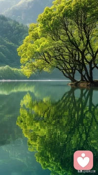 心理咨詢進行了很多次了，為什么還會有哪么多問題呢？這是不是心理咨詢效果不好呢？

這一方面可以用心理成長是一個較長的過程來解釋。因為既然是一個較長的過程，那么在這個過程中必然會一直有所謂的問題。等過程快結束時，也許就越來越少了。

另一方面，可以用人們學習知識的過程來類比。假設兩個人，一個人學習了很久獲得了很多知識，另一個人沒怎么學習所以知識很少。這兩個人，誰會更清楚地知道自己有很多不知道的知識呢？顯然是前者！心理咨詢亦然！配圖