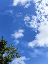一个人心理的成长，在于真正看清人生的真相，而不在于仅仅知道人生的道理。知道人生道理者比比皆是，但看清人生真相者却凤毛麟角。配图