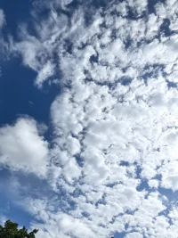 人的覺醒需要經歷九大關：

第一關：怨天尤人
第二關：急于求成
第三關：孤立無援
第四關：深度內省
第五關：改變自己
第六關：接納一切
第七關：傾盡全力
第八關：順其自然
第九關：心如止水配圖