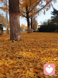 壓力就像裝滿物品的麻袋，若行走時扛在肩上其它時候放在地上，則利大于弊甚至有益無害，若24小時全天候扛在肩上，則弊大于利甚至造成傷害。心理咨詢的作用，類似于讓人能夠在不行走時把麻袋放在地上配圖