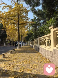 心理咨詢中，來訪者猶如登山，大部分時(shí)間看到的景色都是平平常常的、普普通通的，偶爾會(huì)看到不一樣的風(fēng)景，讓自己猶如發(fā)現(xiàn)新大陸一般的欣喜甚至狂喜。配圖