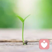 人的行为通常都是由潜意识驱动的，一种是无觉察、无意识的潜意识驱动，一种是有觉察、有意识的潜意识驱动。前者最多可以让人过上普通、正常的生活，而后者则可以让人过上不平凡、甚至超常的生活。原因在于前者会出现大量无效的、无用的、低效的甚至纯消耗的行为，而后者因为有觉察所以有选择，因为有选择所以会减少无效、低效、及消耗的行为，从而节省大量时间和精力，从而使得行为更高效、更有效。那么，如何做到有觉察的潜意识驱动呢？非常困难！几乎没有立竿见影的方法。通过心理咨询获得心理成长，未必是唯一的方法，但应该是效果最好且耗时最短的方法。