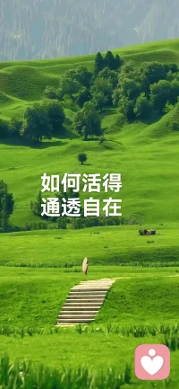 如何活得通透自在