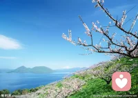 关于对他人的期待，很多人都知道期待过高会带来负面影响，于是有人索性宣称自己对他人毫无期待或只抱有极低期待。那么，对他人的期待，真的是越低越好吗？其实，期待过高固然不妥，可期待过低乃至完全没有期待同样并非好事。期待本身不是问题，真正的问题是不为自己的期待负责，不主动做出建设性行动，反而将期待化作刻板硬性标准，一味要求、管控对方，一旦达不到预期便心生埋怨。所以，不是不能抱有期待，而是要清晰地知道自己的期待，并承认那是自己的期待，且愿意为自己的期待负起责任并采取建设性的行动以促进其实现。总之，不能让别人为自己的期待负责。配图