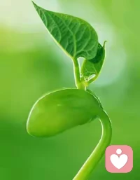 一个人实现了很高水平的心理成长以后，是不是就心如止水、完全不起波澜了呢？恐怕也未必，但至少应该不会经常情绪大起大落，更不会经常崩溃吧。