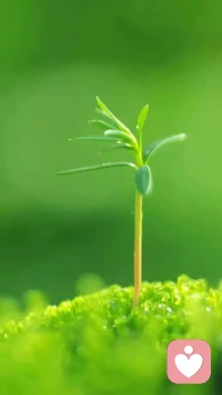 人在追求什么呢？真的是功名利禄吗？好像是，又好像不完全是。其实，人追求的不外乎让自己舒服！一个人能让自己在很多时候很多事情上都感到舒服，是心理成长的表现，是心理成熟的标志。