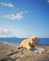 抱着势在必行的商量，最终目标可以达成[耶]