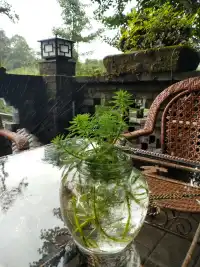 感同身受，在這個世界里是高貴典雅素養，她的存在是告訴世人，人是相通的。你做不到，感受不到。她至善至美至純。配圖