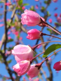 醒著時，我們淋漓盡致地去活去愛；
躺下時，我們才能安然地“死去”（睡去）。
?配圖