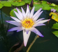 你和這個(gè)世界的關(guān)系，本質(zhì)上都在折射你跟你幻想之間的關(guān)系，而你跟你幻想之間的關(guān)系直接決定了你往后的命運(yùn)。配圖