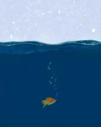 死水養不活魚兒。同理，死氣沉沉的家庭環境（父母關系）養育不出有生命活力的孩兒。

?配圖