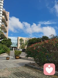 家庭在他們的生活過程中遇到許多困難，困難是否成為一個問題取決于家庭成員如何回應。配圖