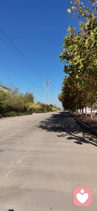 生活哲學告訴我們：生活本身是一所學校，親密關系和婚姻是一所培養社會精英的高等學府。配圖