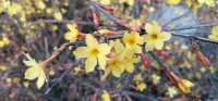 作為創(chuàng)傷者，過(guò)往的創(chuàng)傷經(jīng)歷會(huì)很容易讓你在進(jìn)入一段關(guān)系前就開(kāi)啟自我保護(hù)模式，小心翼翼、多疑謹(jǐn)慎是非常常見(jiàn)的表現(xiàn)。


如果你剛開(kāi)始就是這樣的，還請(qǐng)不要苛責(zé)自己。配圖