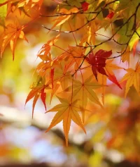 “歧視、偏見往往來自不了解”。當創(chuàng)傷知識越來越大眾化的時候，對于創(chuàng)傷者的偏見與歧視也更有可能減少。配圖