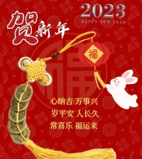 我們都在用自己探索這世界，和我們想的一樣時就欣喜一下，和我們想的不一樣時也別太悲傷，世界就是這樣，是豐富多樣的。祝大家新年快樂，吉祥如意。配圖