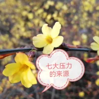 七大壓力的來源：災難性事件、慢性應激源、生活事件、日常困擾、工作枯竭、挫折、沖突。配圖