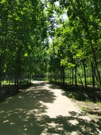以人為中心療法是一種心理治療方法，其核心理念是以個體為中心而非以疾病為中心。該療法旨在幫助人們了解自己的情感和情緒，以及處理負面情緒和行為。該方法強調(diào)傾聽和接納個體的經(jīng)歷和感受，鼓勵個體探索其內(nèi)在的自我，并幫助他們使用自我發(fā)現(xiàn)來制定積極的行動計劃。以人為中心療法通常涉及群體或個人治療，可以通過口頭交流、身體技術和藝術形式等方式實現(xiàn)。該療法適用于各種情感和認知疾病，例如焦慮、抑郁、創(chuàng)傷后應激障礙等。配圖