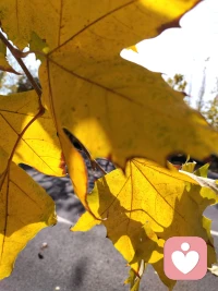 “工作無窮無盡，但健康只有一次。不要把工作當成天大的事”。


我們時常自問，人生的意義是什么？


卻很少真正去思考，工作的本質到底是什么？


是為了生活。


是為了讓自己可以更快樂。


是為了讓家人可以更幸福。配圖