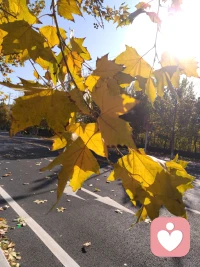 我們可以做的，還是讓自己開心一點，一點點就好。配圖
