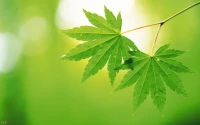 你是否常常会有这种感觉：刚开始接手一件事情，脑海中已经幻想出无数个会发生的问题，心里也已笃定自己做不好；即使别人不经意的一句话，也会浮想一番，最终陷入自我怀疑；随便看到点什么，思绪就不受控制，好像在银河系漫游了无数圈，怎么都停不下来；经常将“如果当时…就好了”挂在嘴上……如果有上述情况，那么需要注意了，你可能正处在内耗的边缘！

不过也无需紧张，你当然不是一个人。社交平台上，“内耗”都是近些年的高频话题，讨论热度居高不下。

“内耗”人群也被称为多向思考者，他们善于观察周围的环境，常因某些人和事，产生拖延、焦虑、消极、患得患失、犹豫不决、过分自责等情绪，心理资源会被大量消耗。当资源不足时，人就会处于内耗的状态，所以会出现没干什么就很累的状况，情绪也会有相当大的起伏与波澜，有时会莫名其妙地特别开心，也可能瞬间坠入情绪的深渊。长此以往，我们的身心都会产生巨大问题，甚至会一点点蚕食我们的人生。