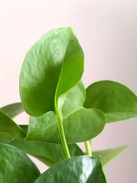 珍惜你的低谷，你会看到很多真相。
—罗翔