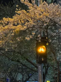 真正有害的，從來不是壓力本身，而是我們認(rèn)為 “壓力有害” 的想法。配圖