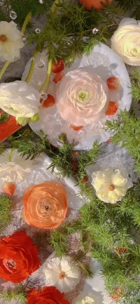 婚姻的本質是什么呢？
是分擔。
沒有人是完美的，你不是，我也不是。
在愛情里，我們只是兩個盡量想做到在對方而言最好的普通人，在不斷的撕裂和融合中，慢慢靠近婚姻的本質。
我愛你不是因為你是誰，而是我在你面前可以是誰。
而在婚姻里，你只需要記得：
我永遠是你最好的隊友。配圖